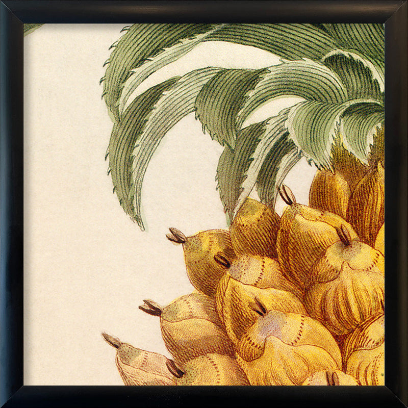 Pineapple Close Up. Mini Print