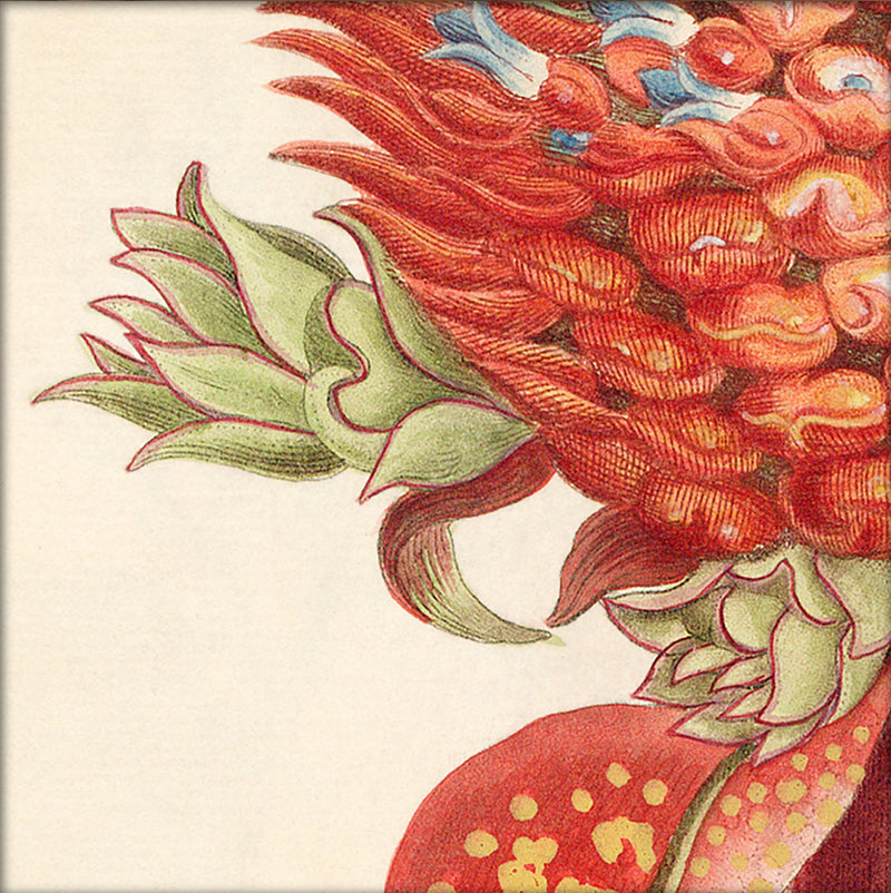 Red Pineapple Close Up. Mini Print