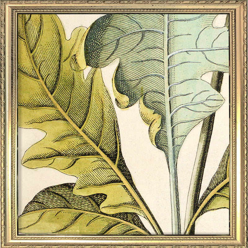 Bocconia Close Up. Mini Print