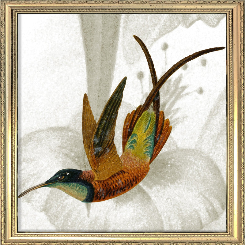 Brown Hummingbird. Mini Print