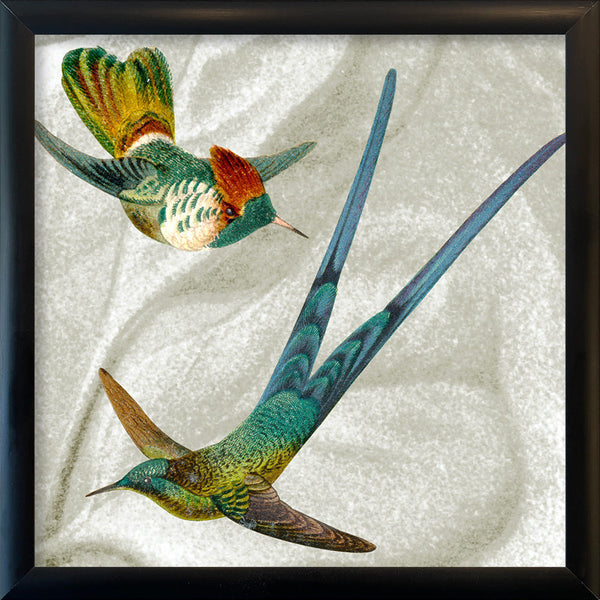Two Flying Hummingbirds. Mini Print
