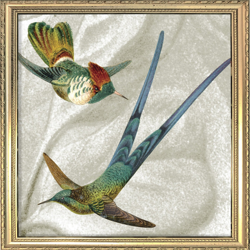 Two Flying Hummingbirds. Mini Print