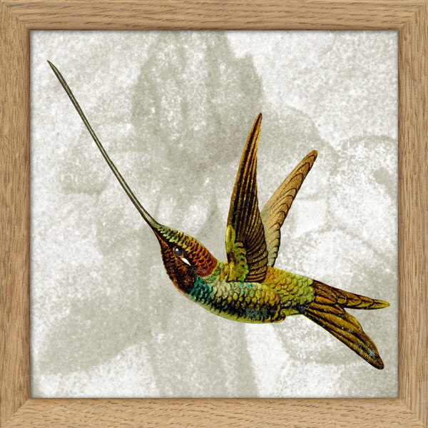 Flying Hummingbird. Mini Print