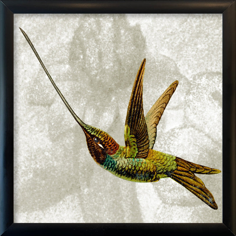Flying Hummingbird. Mini Print