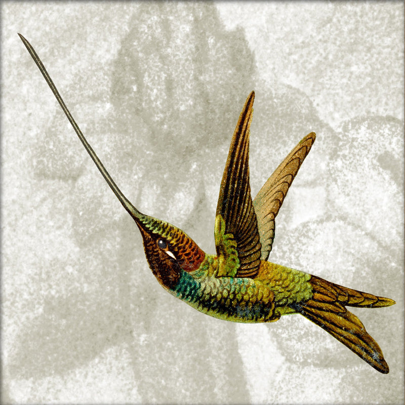 Flying Hummingbird. Mini Print
