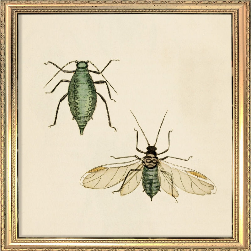 Two Green Insects. Mini Print