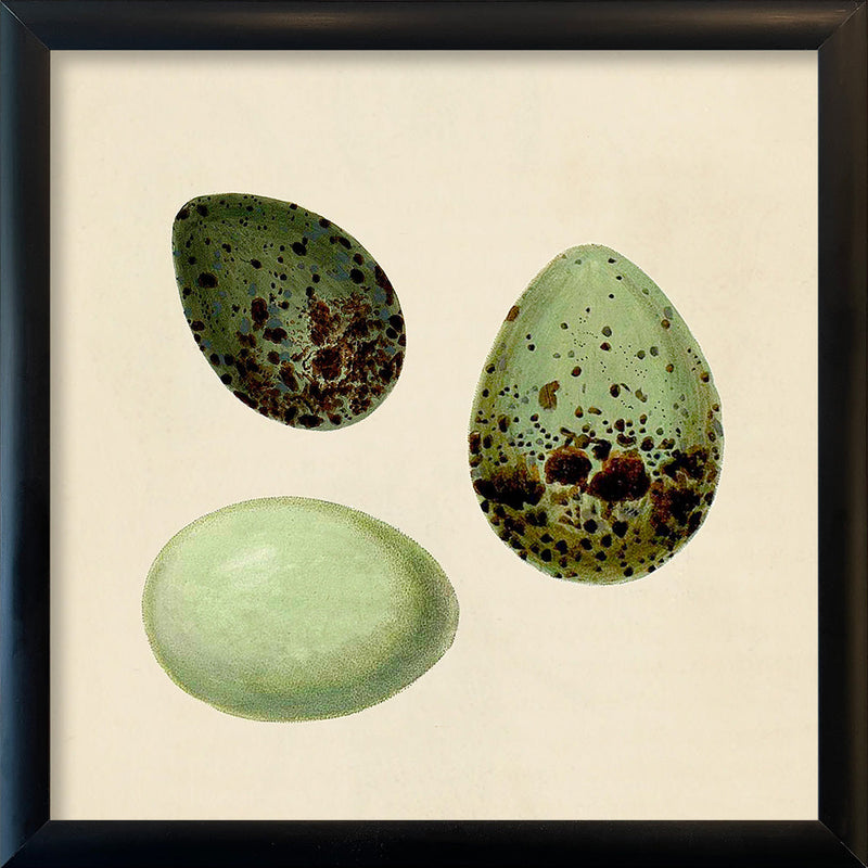 Three Green Eggs. Mini Print