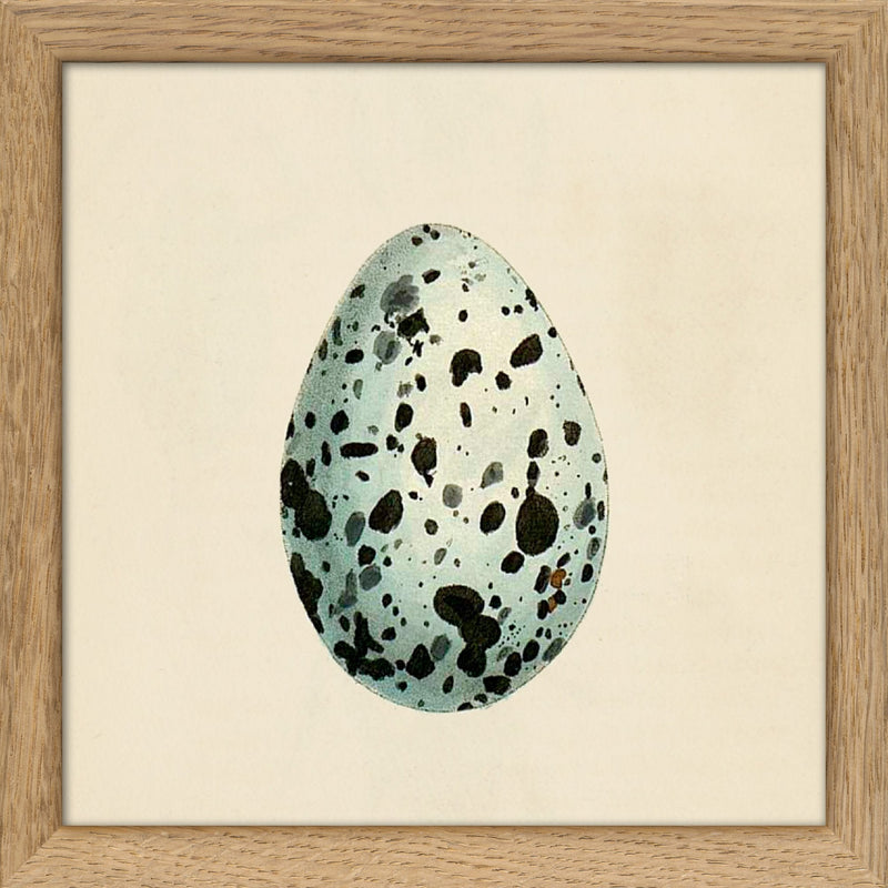 Mint Green Dotted Egg. Mini Print