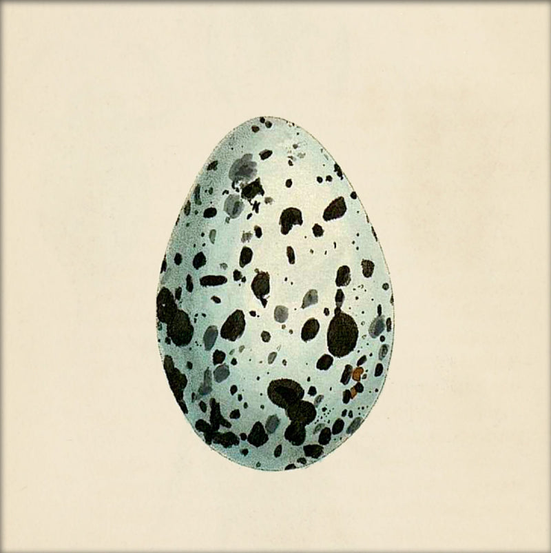 Mint Green Dotted Egg. Mini Print