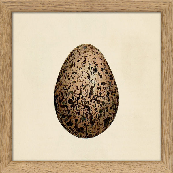 Brown Dotted Egg. Mini Print