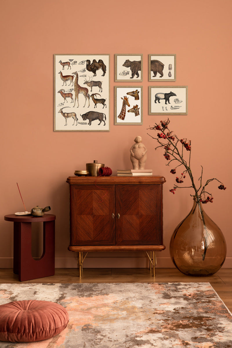 Giraffes. Mini Print