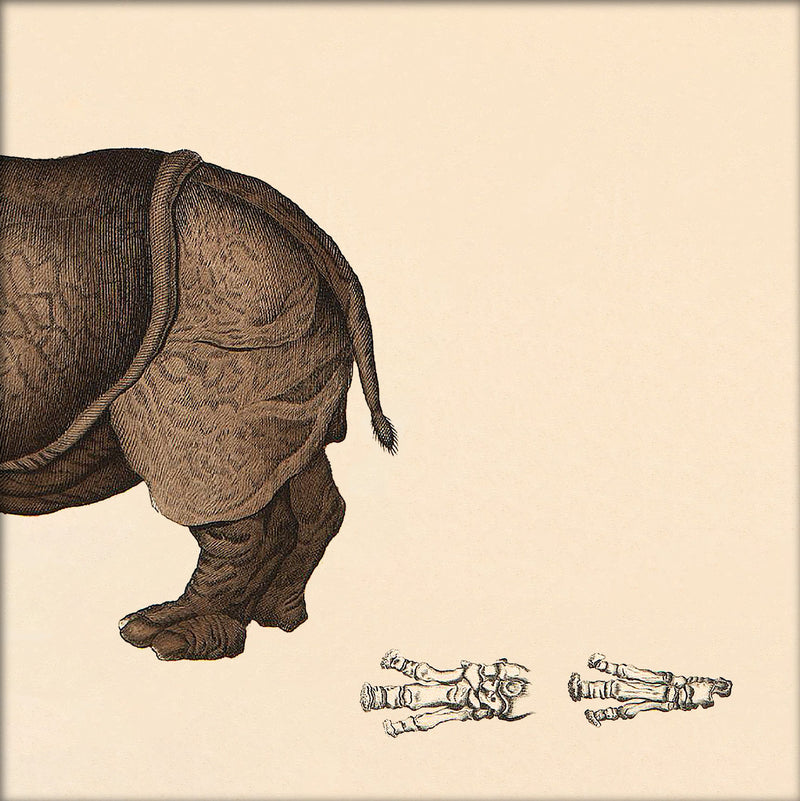 Rhinoceros Rear. Mini Print