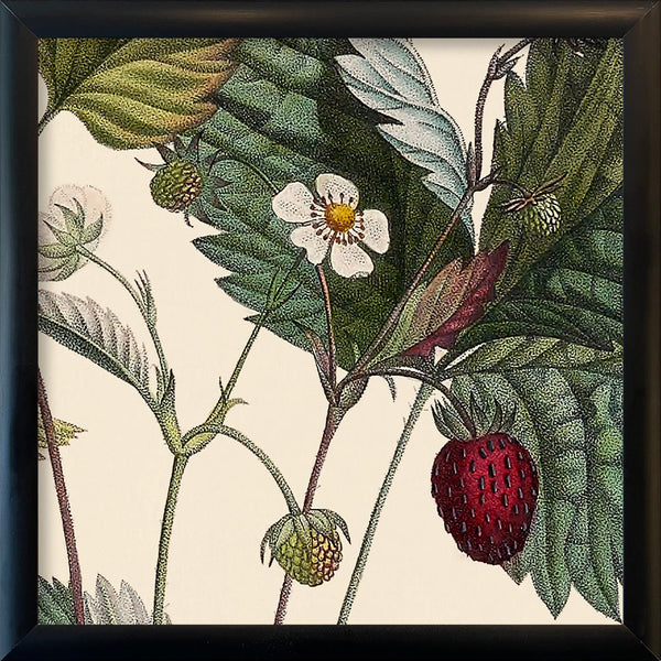 Strawberry Close Up. Mini Print