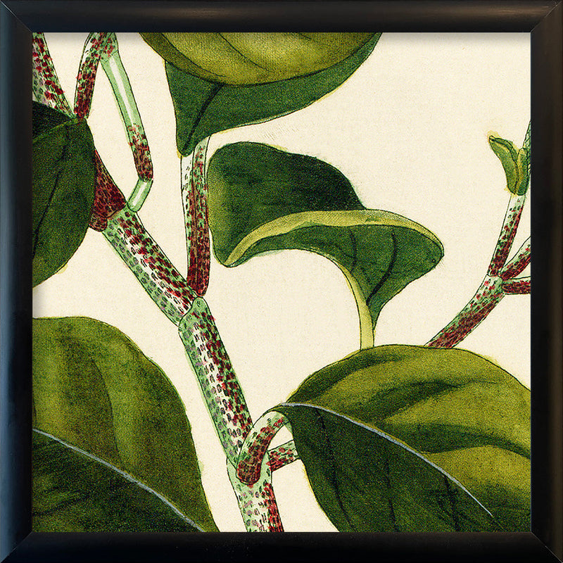 Piper Close Up. Mini Print