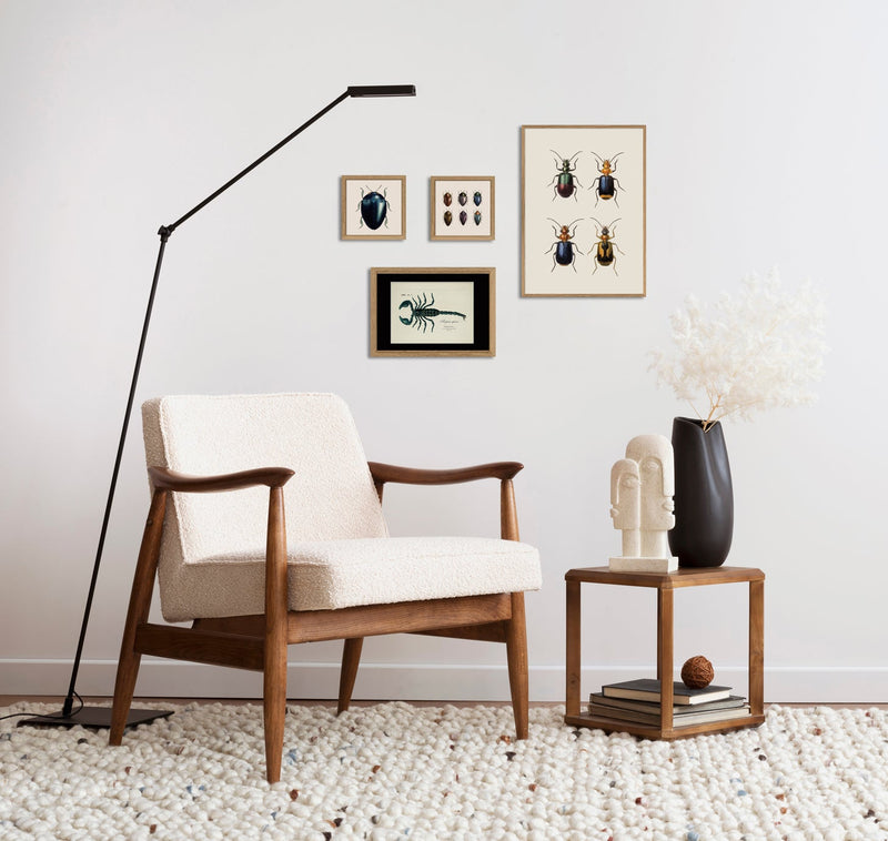 Six Beetles. Mini Print