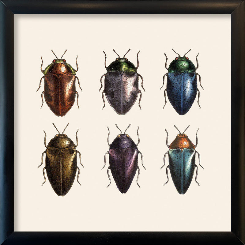 Six Beetles. Mini Print