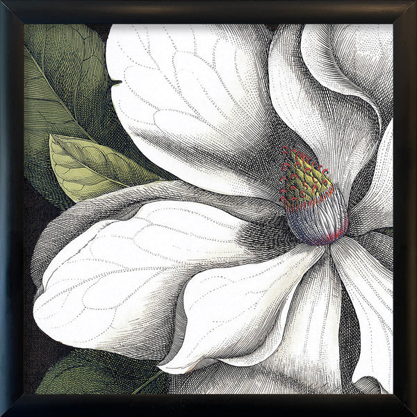 White Magnolia Close Up. Mini Print