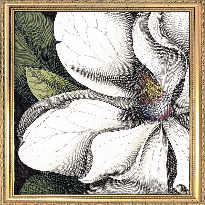 White Magnolia Close Up. Mini Print