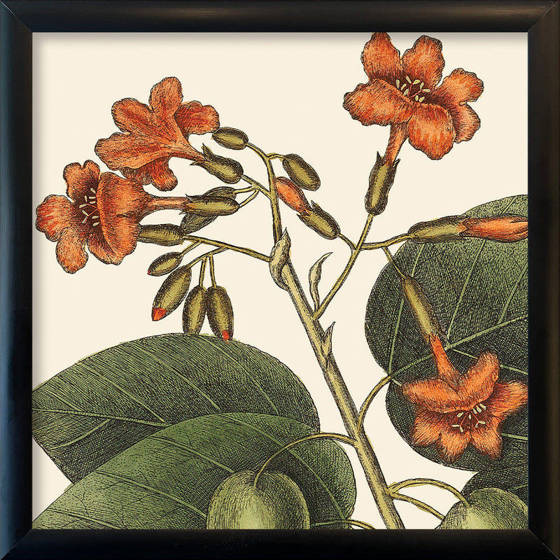 Orange Flower Close Up. Mini Print