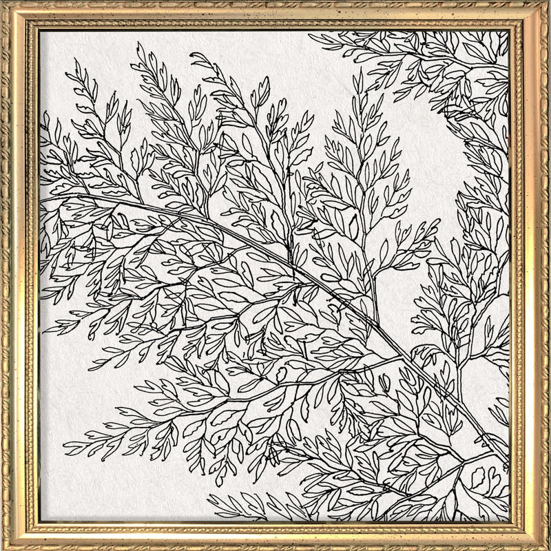 Botanical Study XIII. Mini Print