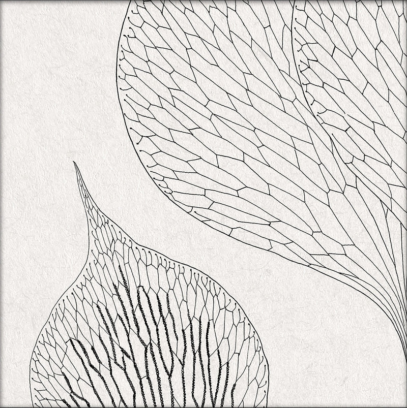 Botanical Study XIV. Mini Print