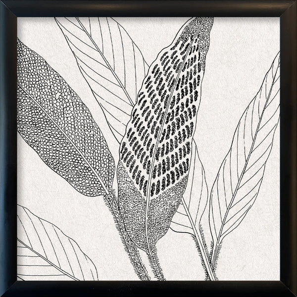 Botanical Study XV. Mini Print