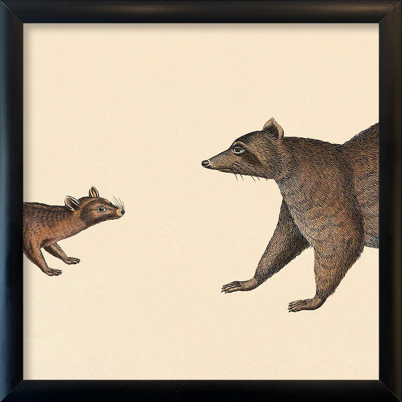 Ring-Tailed Cat Head and Raccoon Head. Mini Print