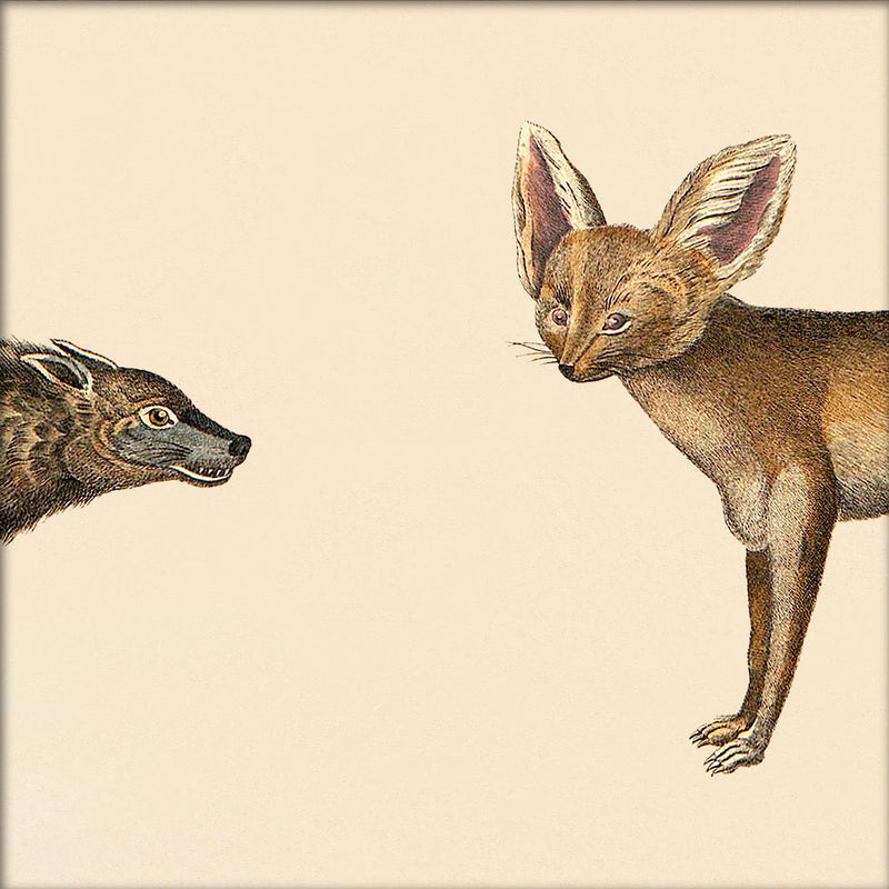 Hyena Head and Fox Head. Mini Print