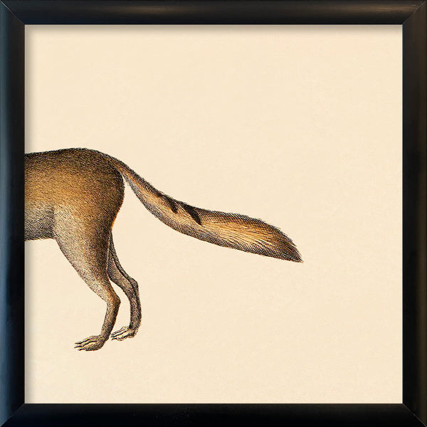 Fox Rear. Mini Print