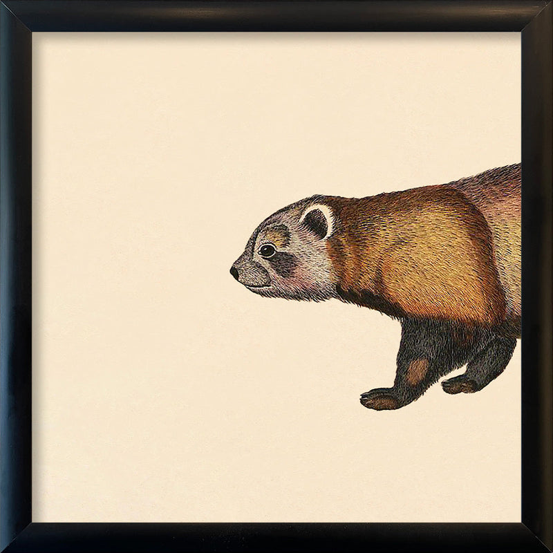 Raccoon Head. Mini Print