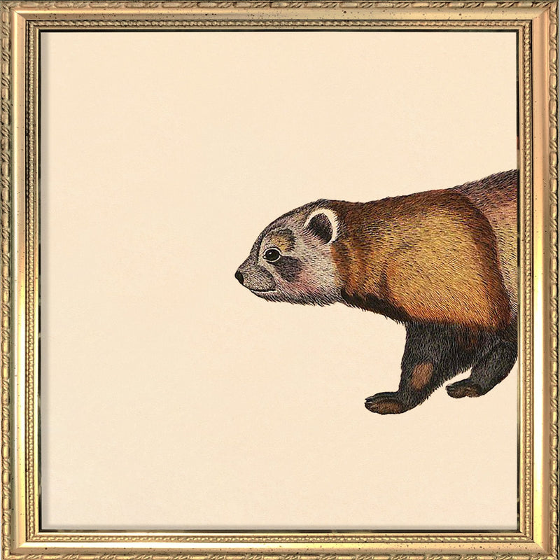 Raccoon Head. Mini Print