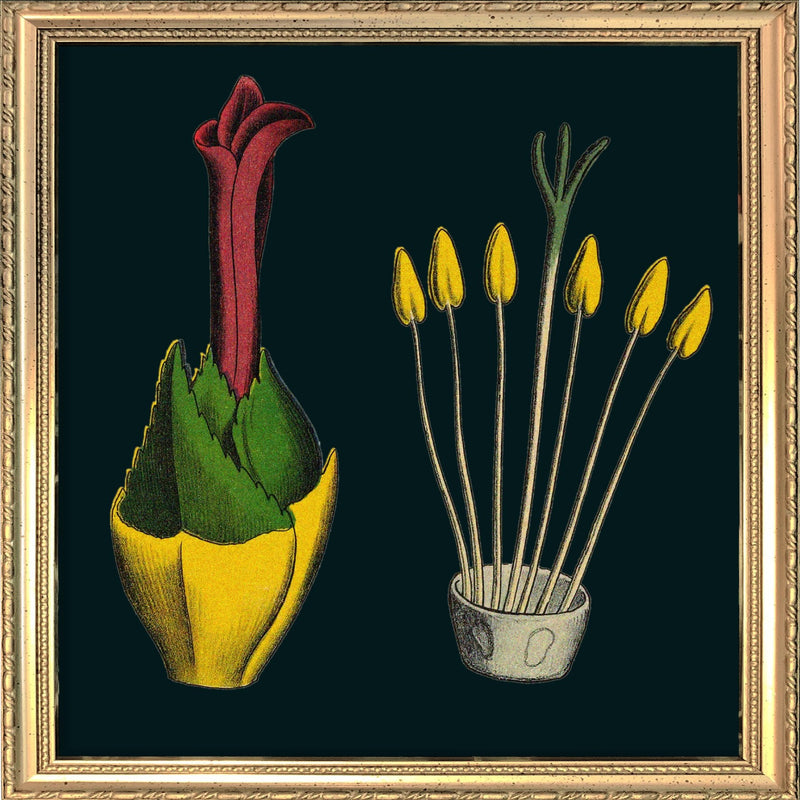 Pineapple Details. Mini Print