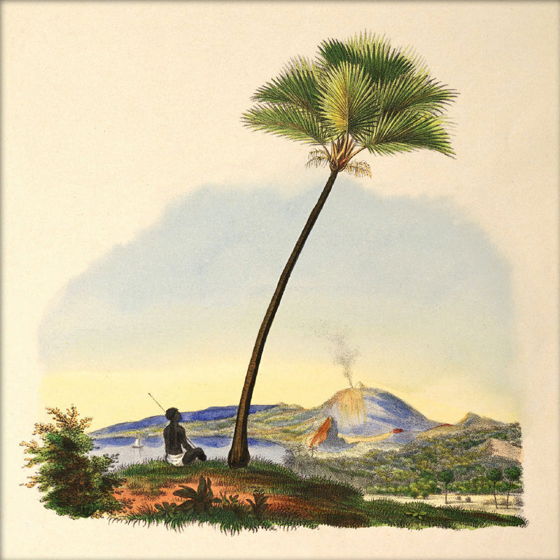 Palm and Man. Mini Print