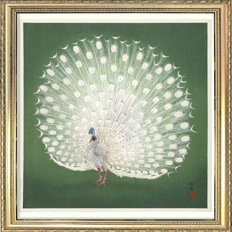 Peacock on Green. Mini Print