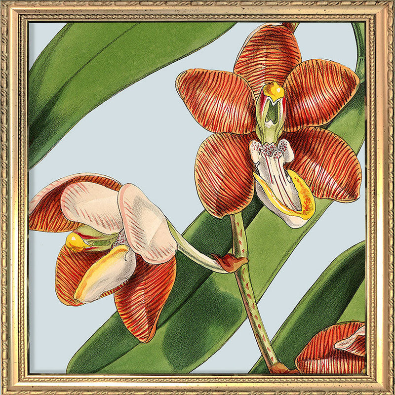 Orange flower. Mini Print