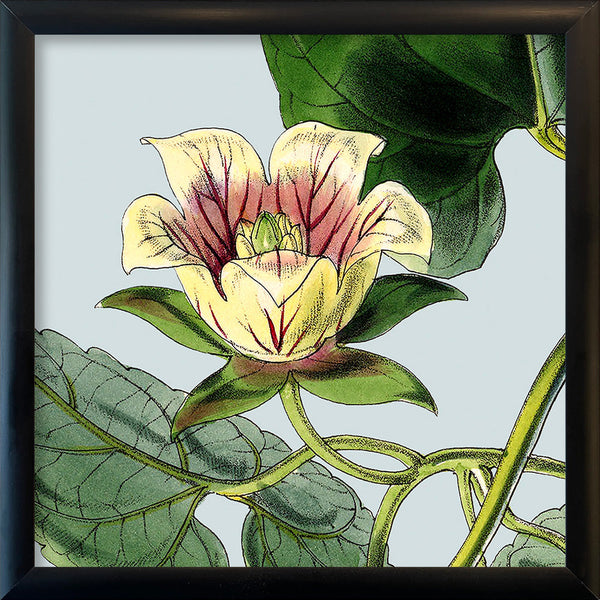 Yellow and pick flower. Mini Print