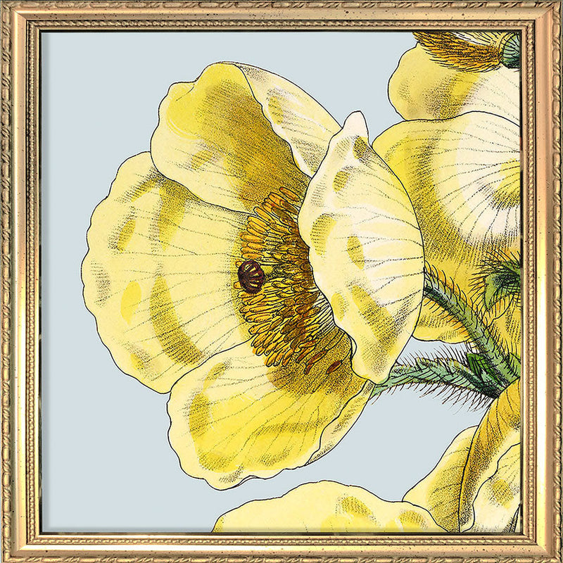 Yellow detail flower. Mini Print