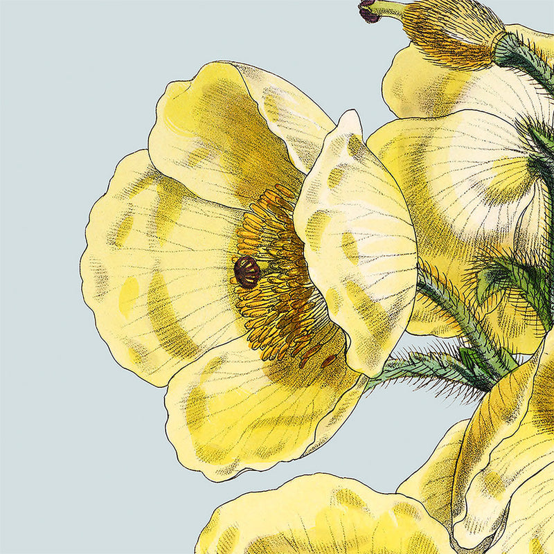 Yellow detail flower. Mini Print