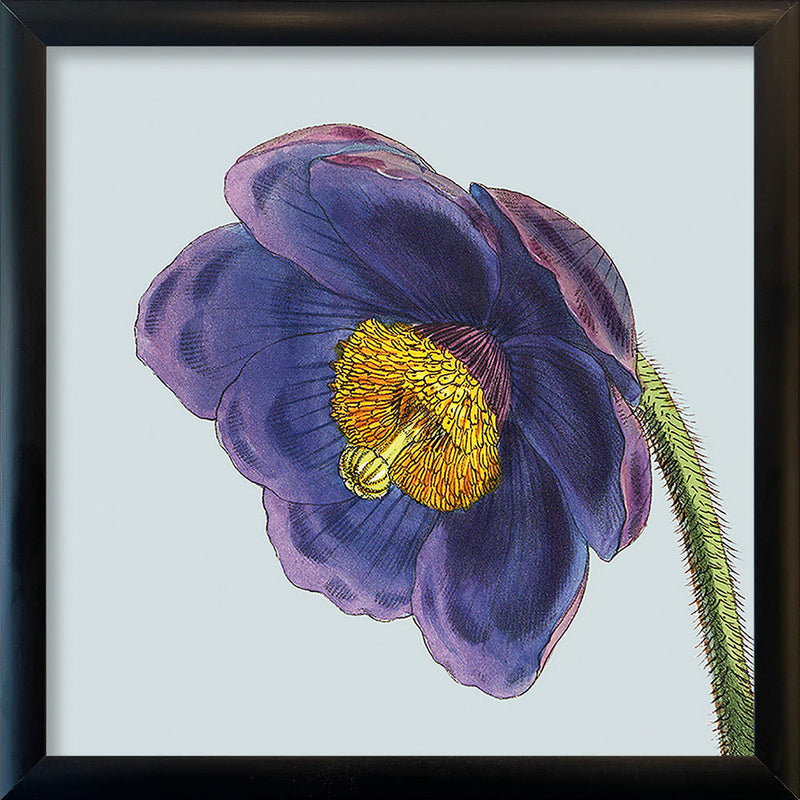 Purple flower. Mini Print