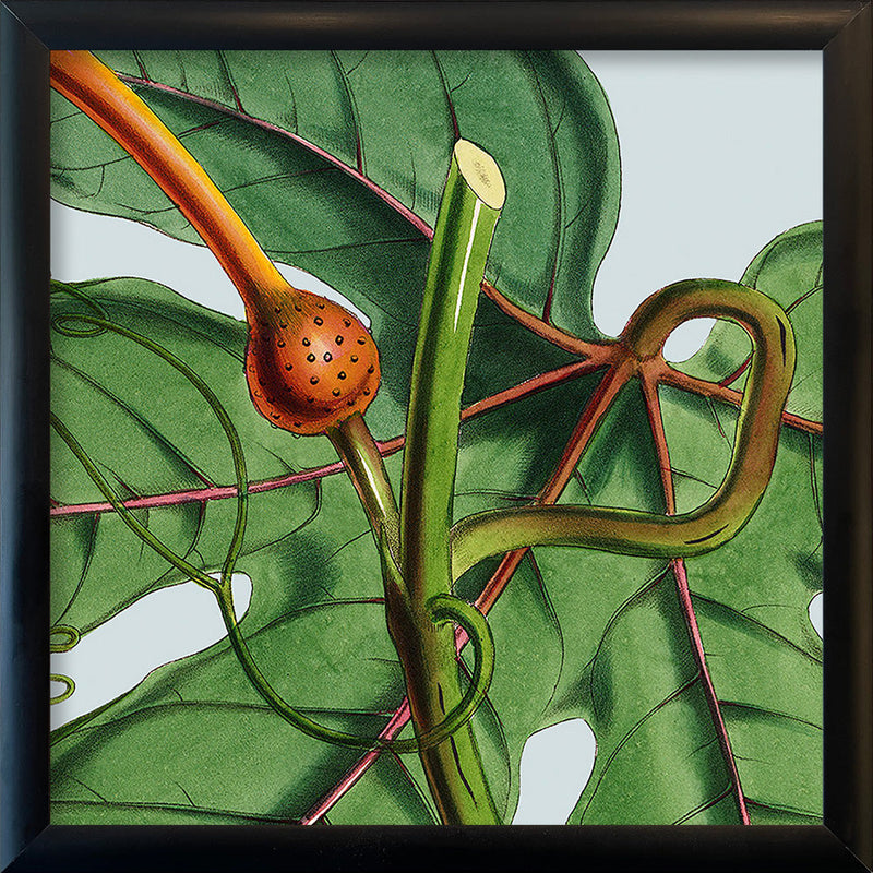 Detail of flower. Mini Print