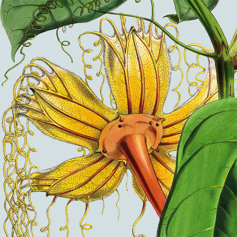 Yellow flower. Mini Print