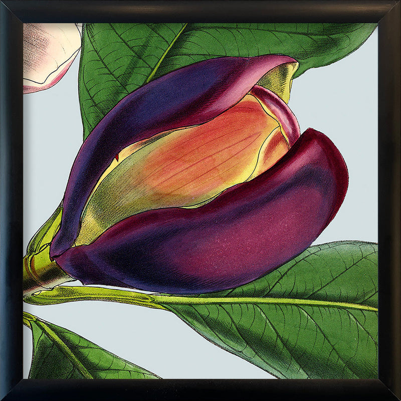 Purple flower. Mini Print