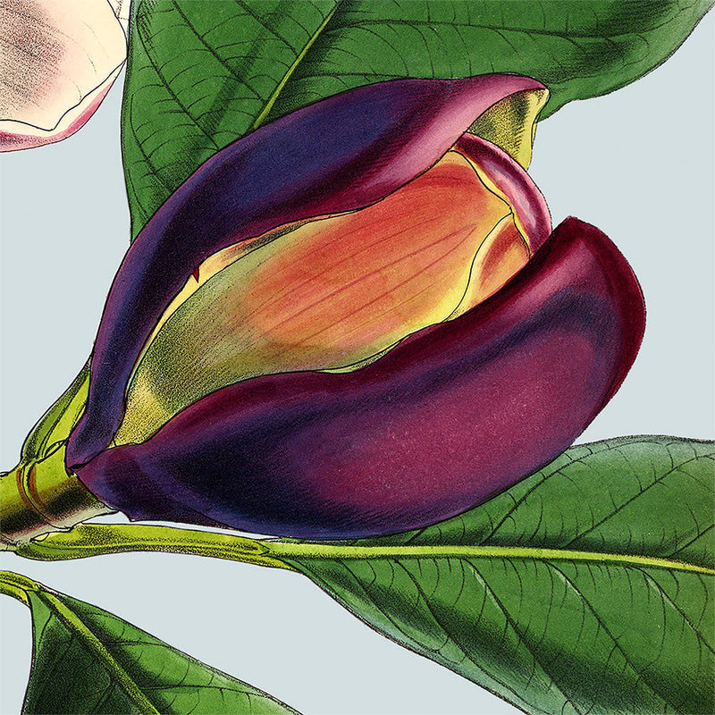 Purple flower. Mini Print