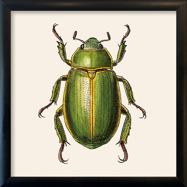 Green Insect. Mini Print