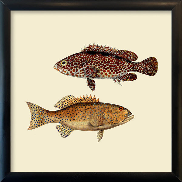 Two Fish. Mini Print