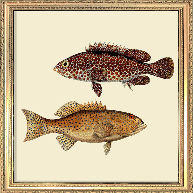 Two Fish. Mini Print