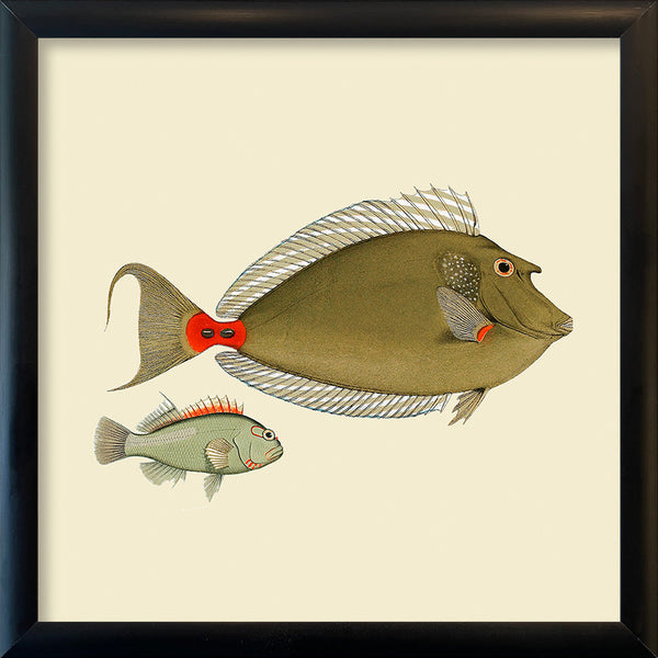 Two Green Fish. Mini Print