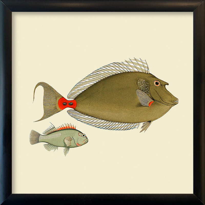 Two Green Fish. Mini Print