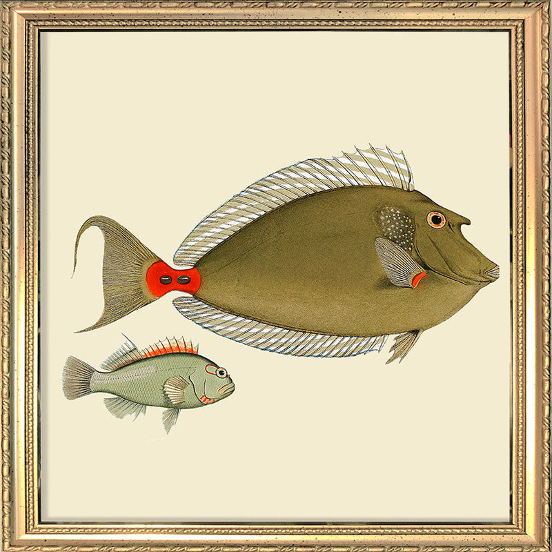 Two Green Fish. Mini Print