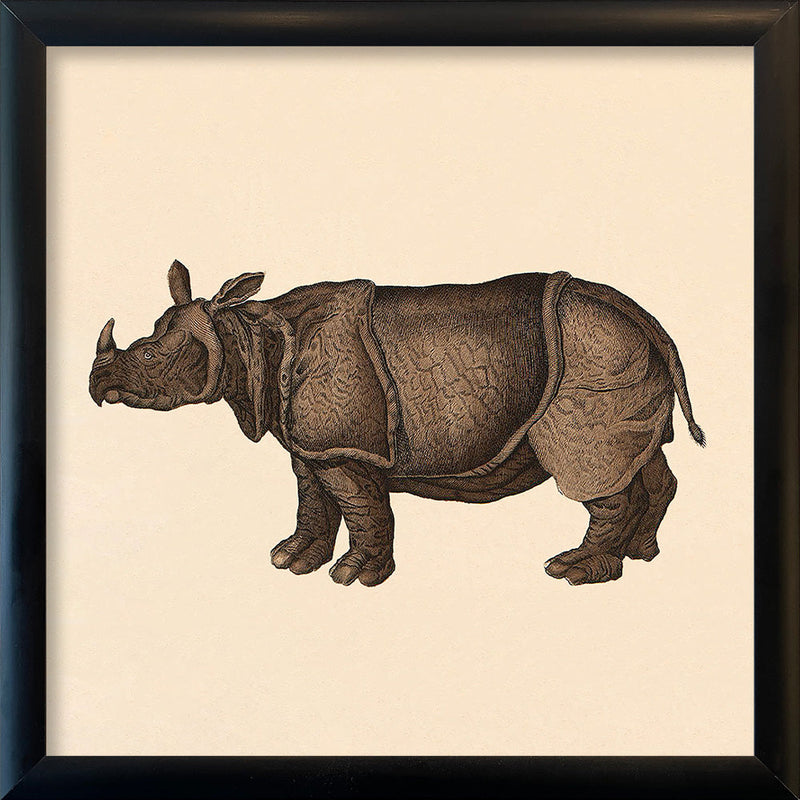 Rhino. Mini Print